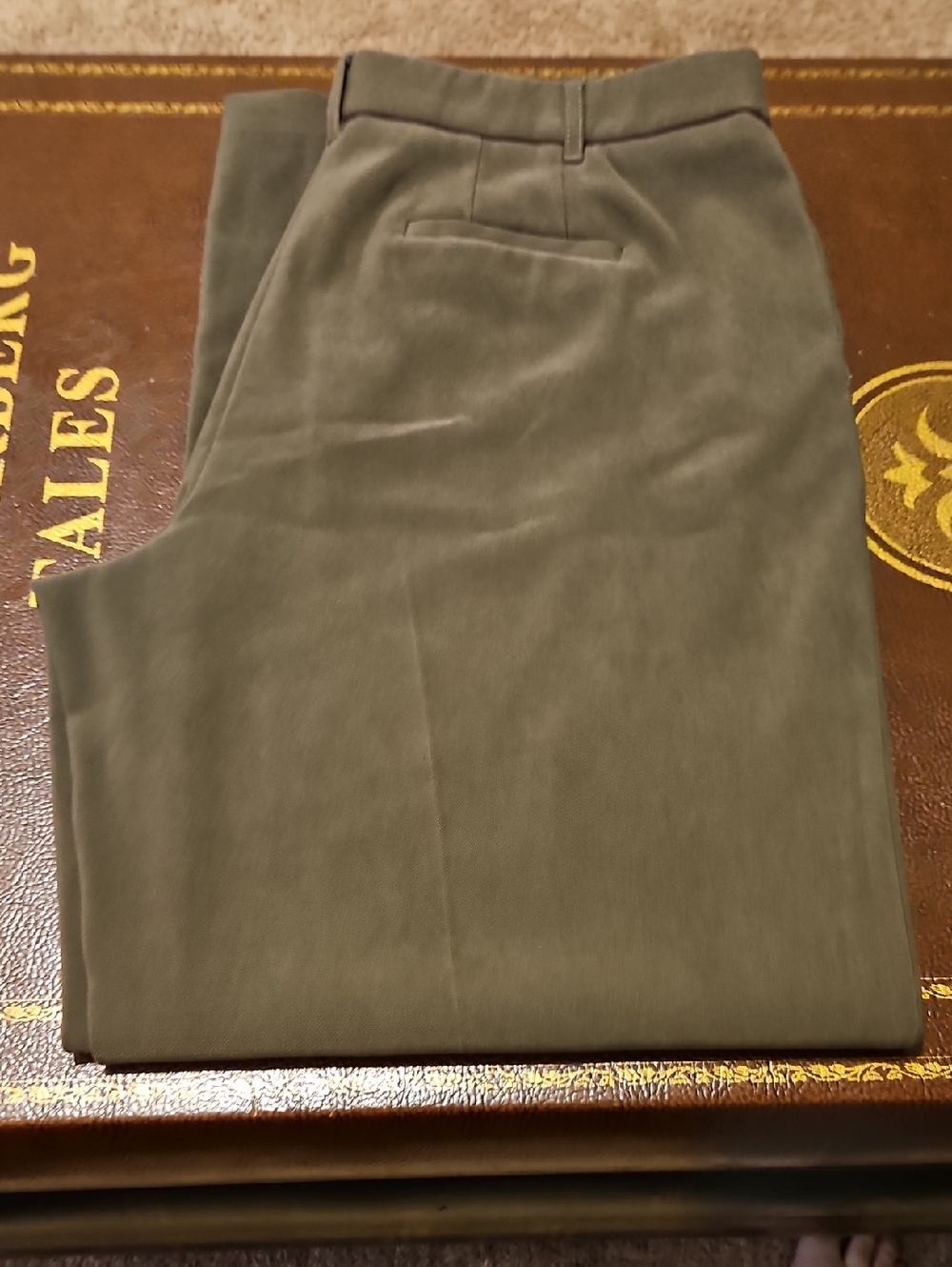Coldwater Creek Olive-Tone Chinos